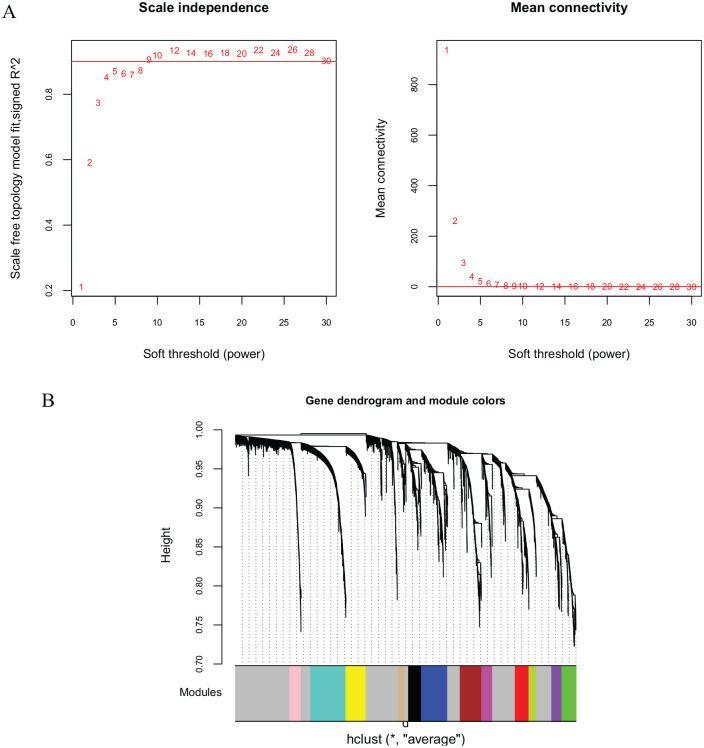 Screening of Important Factors in the Early Sepsis Stage Based on the Evaluation of ssGSEA Algorithm and ceRNA Regulatory Network.