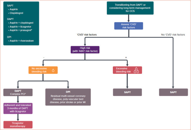 2021 Asian Pacific Society of Cardiology Consensus Recommendations on the Use of P2Y1<sub>2</sub> Receptor Antagonists in the Asia-Pacific Region: Special Populations.