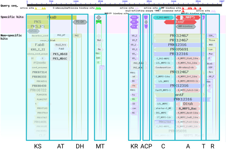 Synthaser: a CD-Search enabled Python toolkit for analysing domain architecture of fungal secondary metabolite megasynth(et)ases.