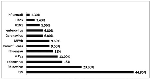 The burden of influenza and other respiratory viruses in hospitalized infants and children in a university hospital, Jordan.