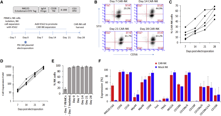 piggyBac system to co-express NKG2D CAR and IL-15 to augment the <i>in vivo</i> persistence and anti-AML activity of human peripheral blood NK cells.