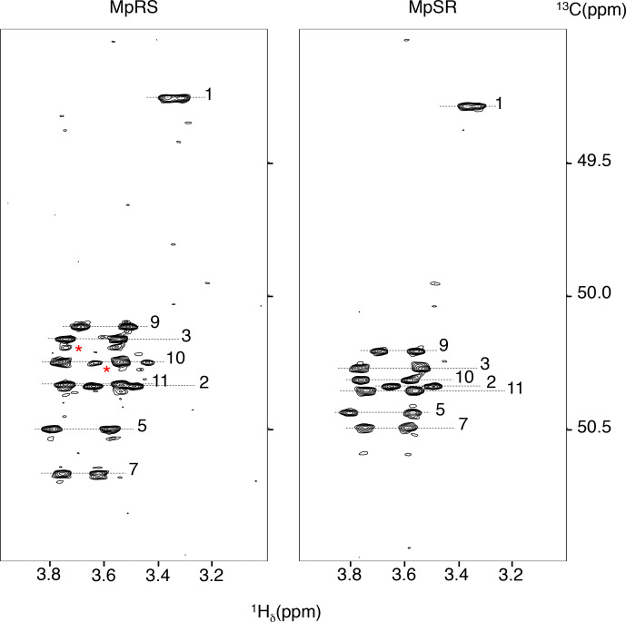 Fluorine NMR study of proline-rich sequences using fluoroprolines.