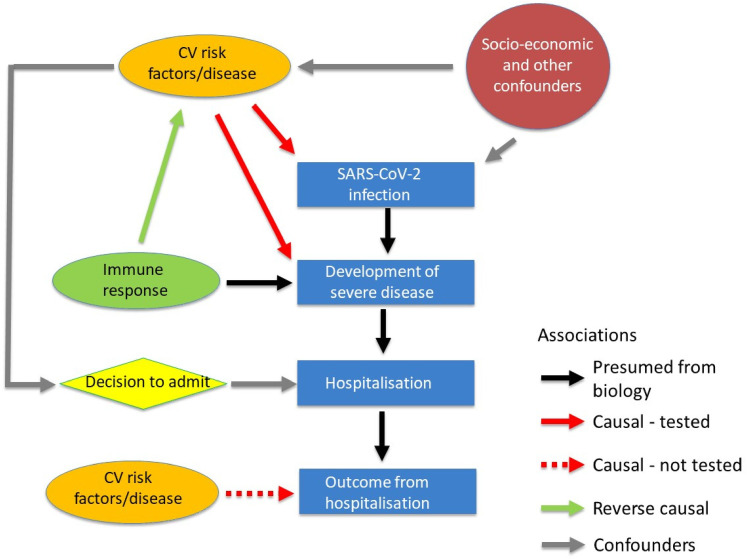 Cardiovascular health and risk of hospitalization with COVID-19: A Mendelian Randomization study.