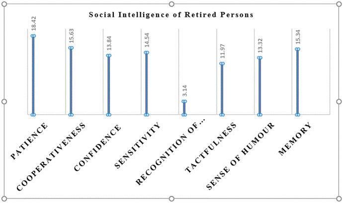 The Relevance of Social Intelligence for Effective Optimization of Retirement and Successful Ageing