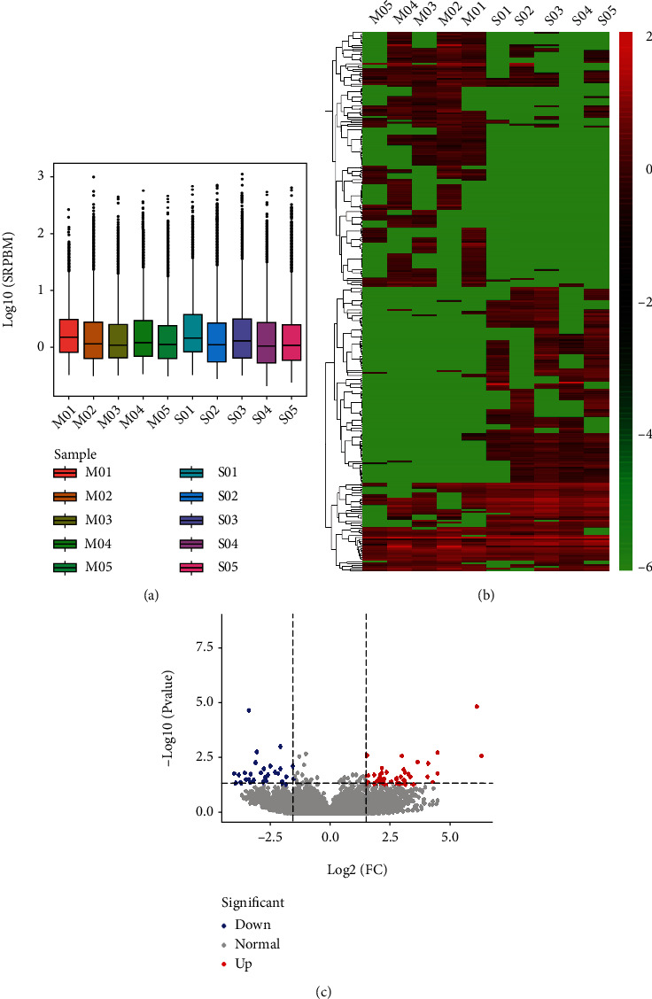 Deep Sequencing of the Rat MCAO Cortexes Reveals Crucial circRNAs Involved in Early Stroke Events and Their Regulatory Networks.