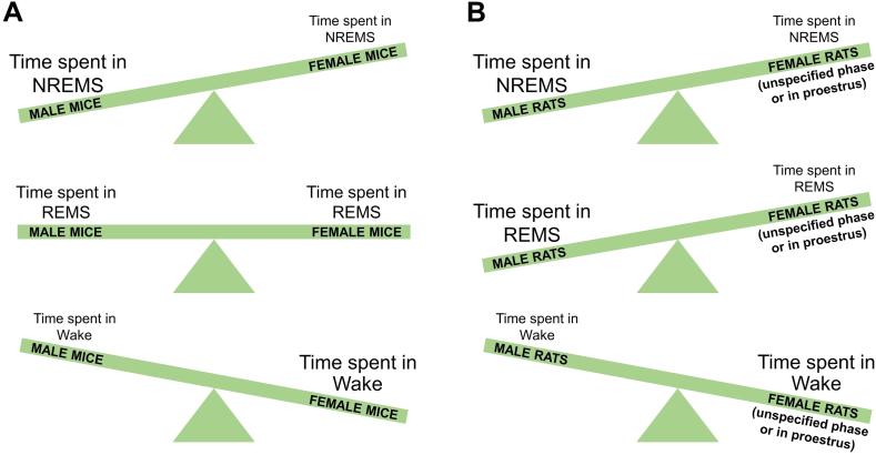 A review of the current state of knowledge on sex differences in sleep and circadian phenotypes in rodents