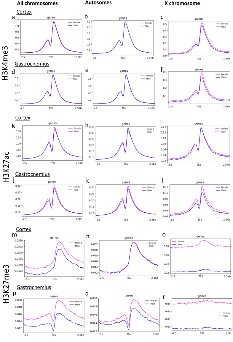 The Histone H3 K4me3, K27me3, and K27ac Genome-Wide Distributions Are Differently Influenced by Sex in Brain Cortexes and Gastrocnemius of the Alzheimer's Disease PSAPP Mouse Model.