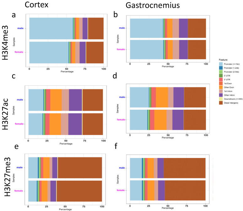 The Histone H3 K4me3, K27me3, and K27ac Genome-Wide Distributions Are Differently Influenced by Sex in Brain Cortexes and Gastrocnemius of the Alzheimer's Disease PSAPP Mouse Model.