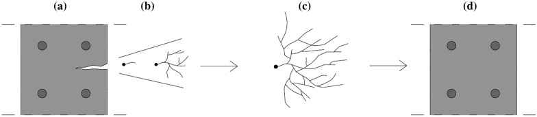 A review on the potential of filamentous fungi for microbial self-healing of concrete.