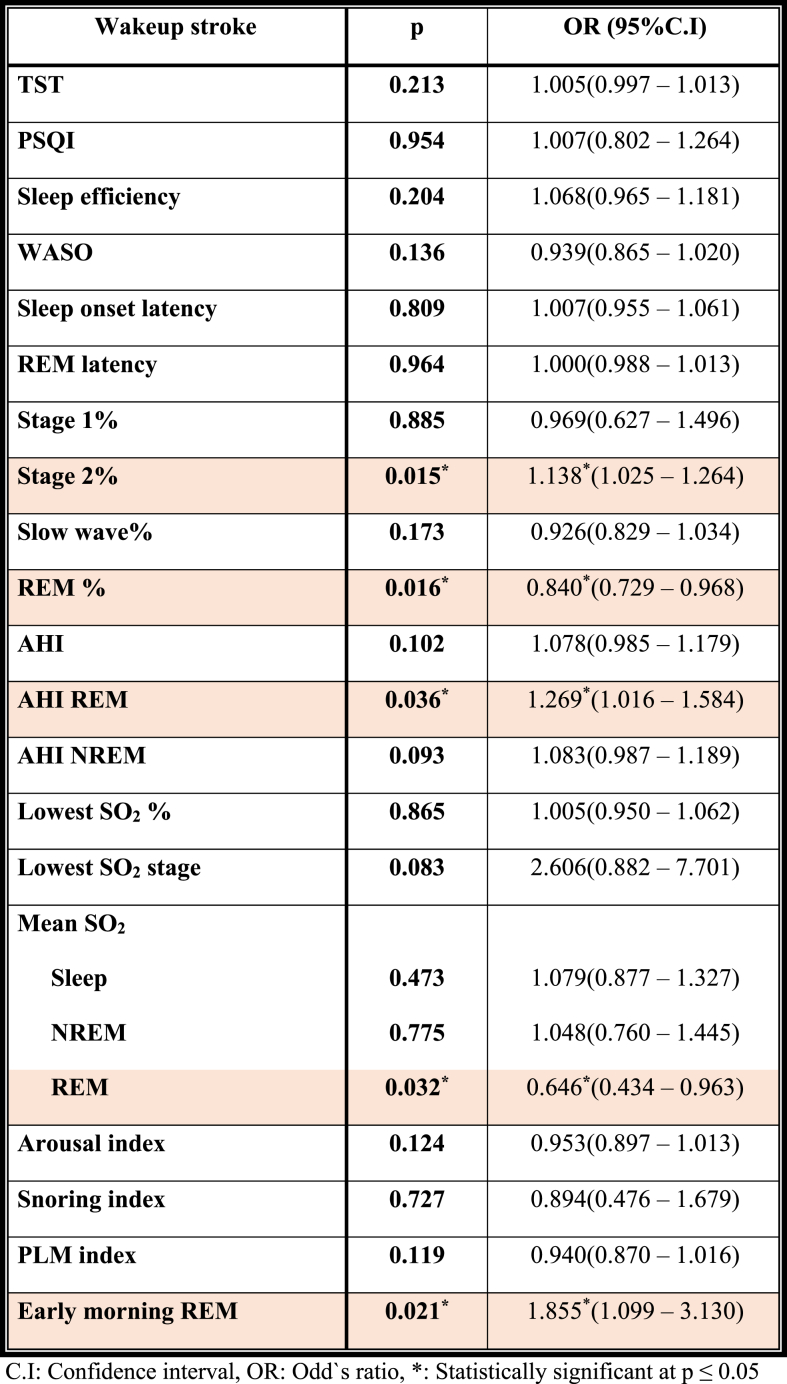 Rapid eye movement (REM) sleep microarchitecture is altered in patients with wake-up ischemic stroke: A polysomnographic study