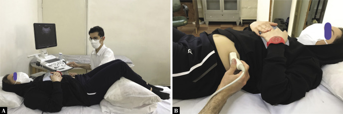 Intra-examiner and inter-examiner reliability of rehabilitative ultrasound imaging for lumbar multifidus and anterolateral abdominal muscles in females with recurrent low back pain: an observational, cross-sectional study.