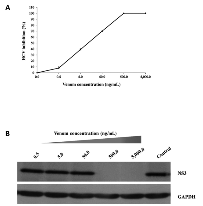 Virucidal activity of oriental hornet <i>Vespa orientalis</i> venom against hepatitis C virus.