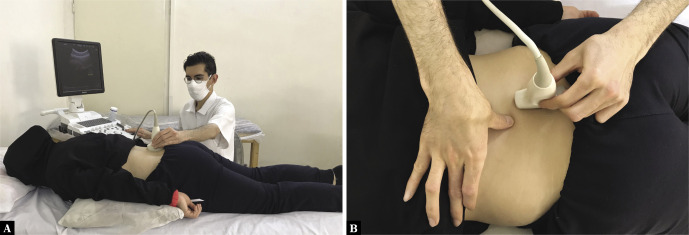 Intra-examiner and inter-examiner reliability of rehabilitative ultrasound imaging for lumbar multifidus and anterolateral abdominal muscles in females with recurrent low back pain: an observational, cross-sectional study.