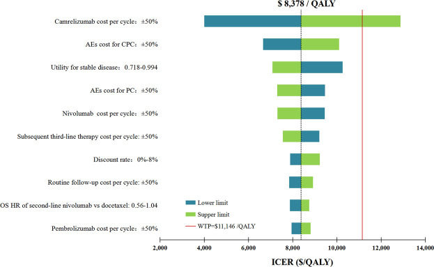 Cost-Effectiveness of Domestic PD-1 Inhibitor Camrelizumab Combined With Chemotherapy in the First-Line Treatment of Advanced Nonsquamous Non-Small-Cell Lung Cancer in China.