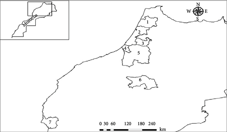 Genetic Diversity and Population Structure of Moroccan Isolates Belong to <i>Alternaria</i> spp. Causing Black Rot and Brown Spot in Citrus.