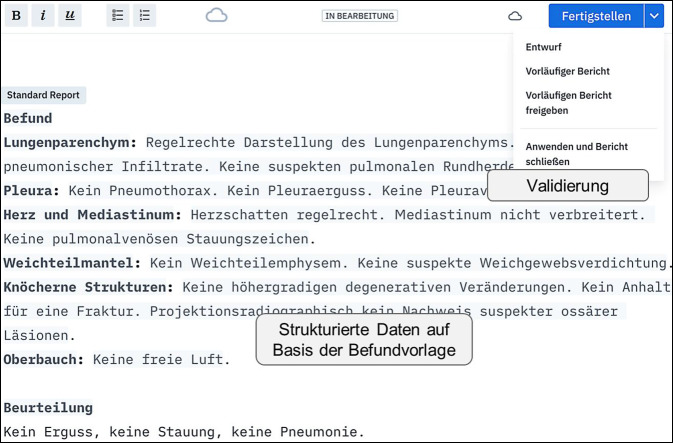 [Integration of structured reporting into the routine radiological workflow].