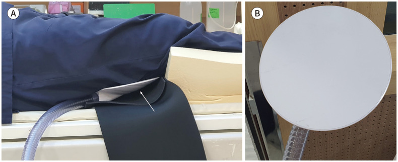 Quantification of the Elastic Property of Normal Thigh Muscles Using MR Elastography: Our Initial Experience.