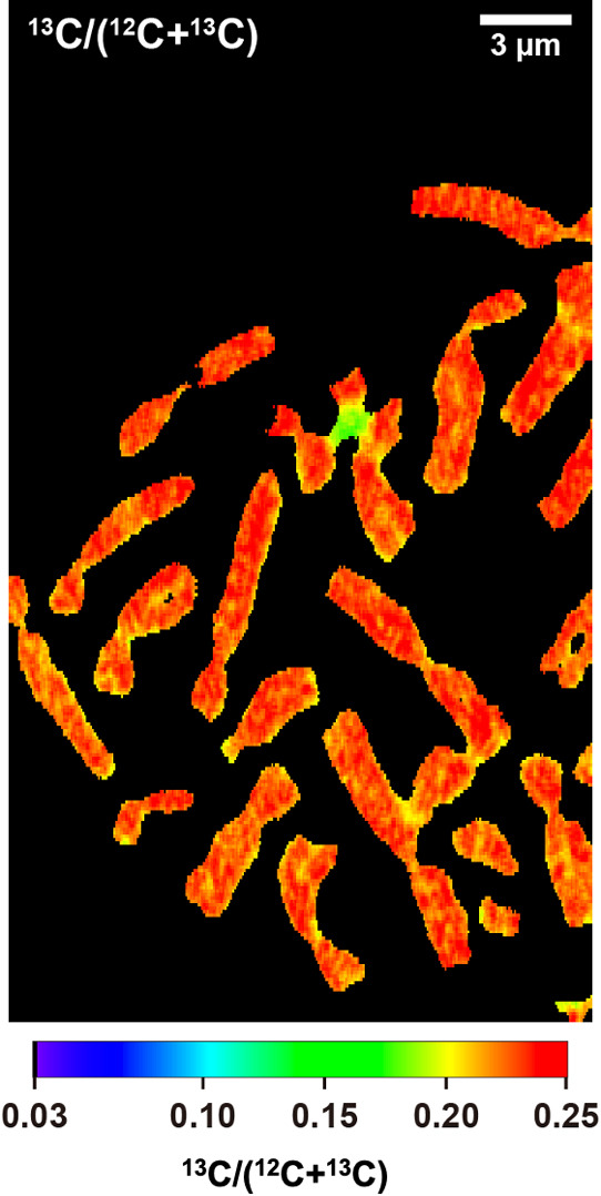 Abstract Image