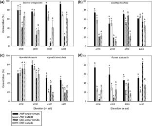 Effects of nurse shrubs on symbioses between soil fungi and associated plants along a tropical alpine elevation gradient