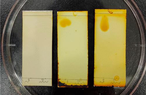 Facile Grignard Reaction Demonstration Using Molecular Sieved Dried Solvent