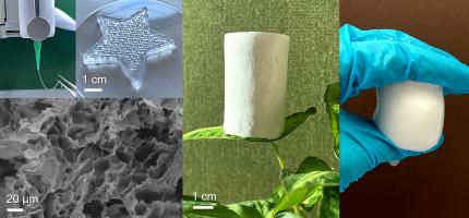 Ascorbic acid-loaded polyvinyl alcohol/cellulose nanofibril hydrogels as precursors for 3D printed materials