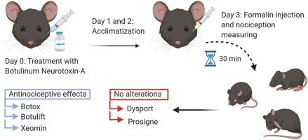 Analgesic potential of different available commercial brands of botulinum neurotoxin-A in formalin-induced orofacial pain in mice