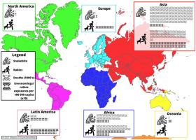 Assessing the practicalities of joint snakebite and dog rabies control programs: Commonalities and potential pitfalls