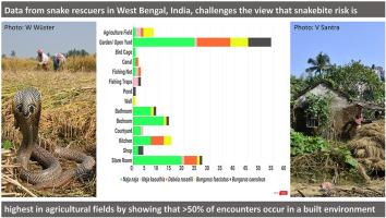 Promoting co-existence between humans and venomous snakes through increasing the herpetological knowledge base