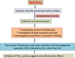 Local inflammatory mediators alterations induced by Daboia siamensis venom