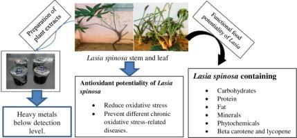 The food ingredients of different extracts of Lasia spinosa (L.) Thwaites can turn it into a potential medicinal food