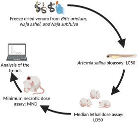 Artemia salina as an animal model for the preliminary evaluation of snake venom-induced toxicity