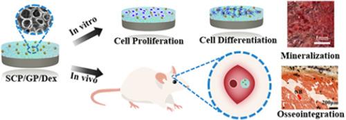 The surface modification of long carbon fiber reinforced polyether ether ketone with bioactive composite hydrogel for effective osteogenicity