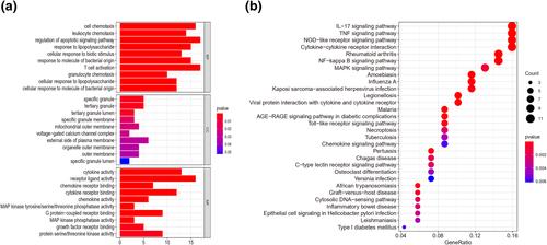 Identification of the key genes and immune infiltrating cells determined by sex differences in ischaemic stroke through co-expression network module