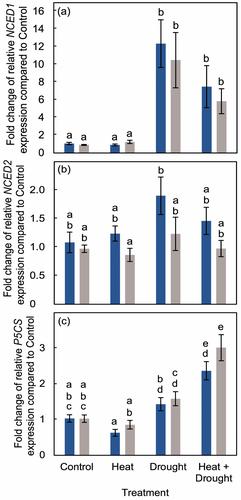 Abscisic acid and proline are not equivalent markers for heat, drought and combined stress in grapevines