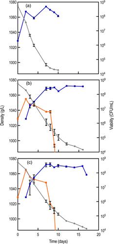 Modulation of a defined community of Oenococcus oeni strains by Torulaspora delbrueckii and its impact on malolactic fermentation