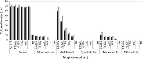 Cultivar susceptibility and control of angular leaf scorch in grapevine