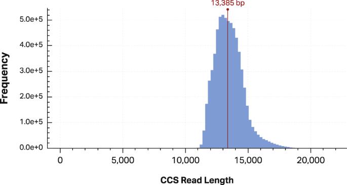 Application of long-read sequencing to elucidate complex pharmacogenomic regions: a proof of principle