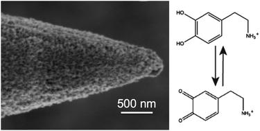 Carbon nanospike coated nanoelectrodes for measurements of neurotransmitters†