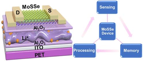 Integrated In-Sensor Computing Optoelectronic Device for Environment-Adaptable Artificial Retina Perception Application