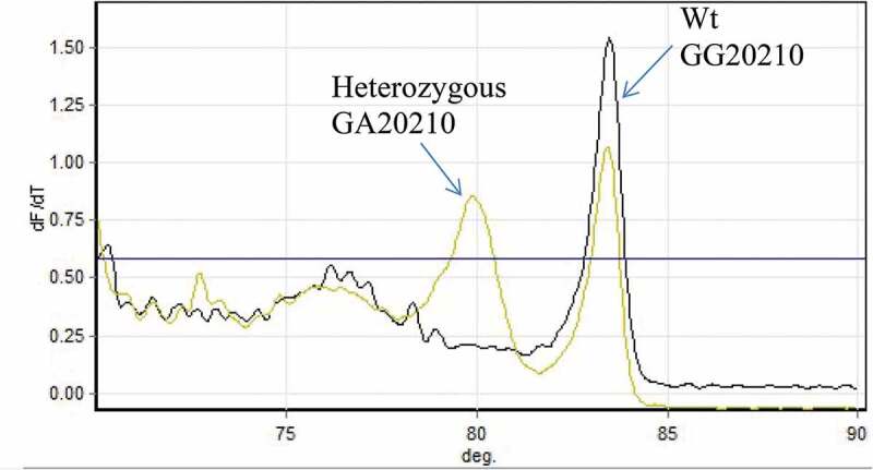 Association of venous thromboembolism and myocardial infarction with Factor V Leiden and Factor II gene mutations among Libyan patients.