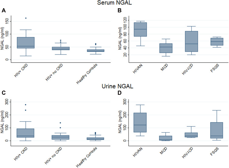 Profiling Biomarkers in HIV Glomerular Disease - Potential for the Non-Invasive Diagnosis of HIVAN?