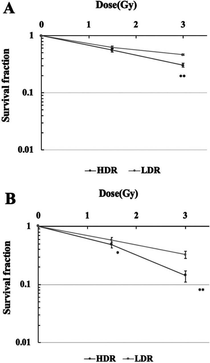 Possible relationship between mitochondrial changes and oxidative stress under low dose-rate irradiation.