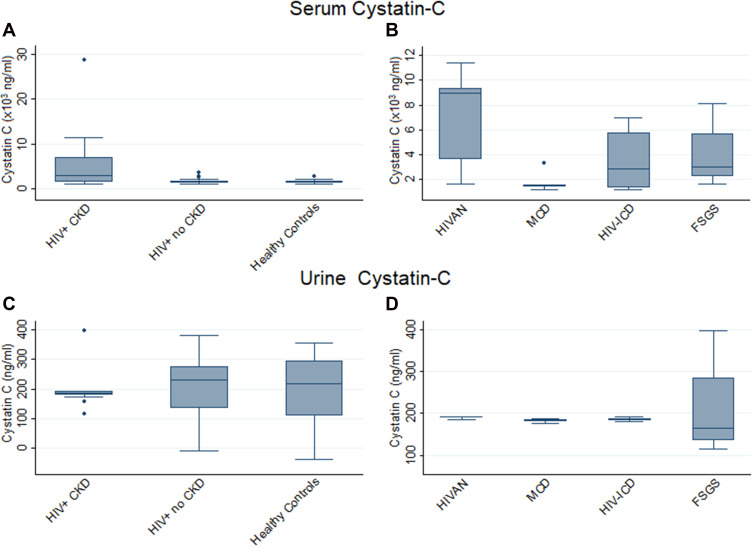 Profiling Biomarkers in HIV Glomerular Disease - Potential for the Non-Invasive Diagnosis of HIVAN?