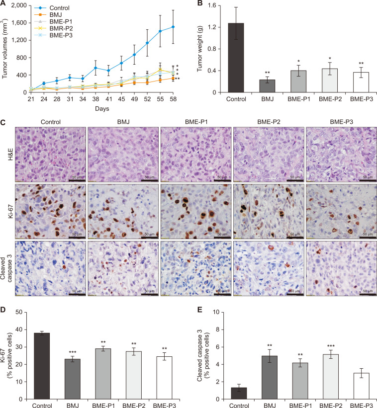 Comparative Pre-clinical Efficacy of Chinese and Indian Cultivars of Bitter Melon (<i>Momordica charantia</i>) against Pancreatic Cancer.