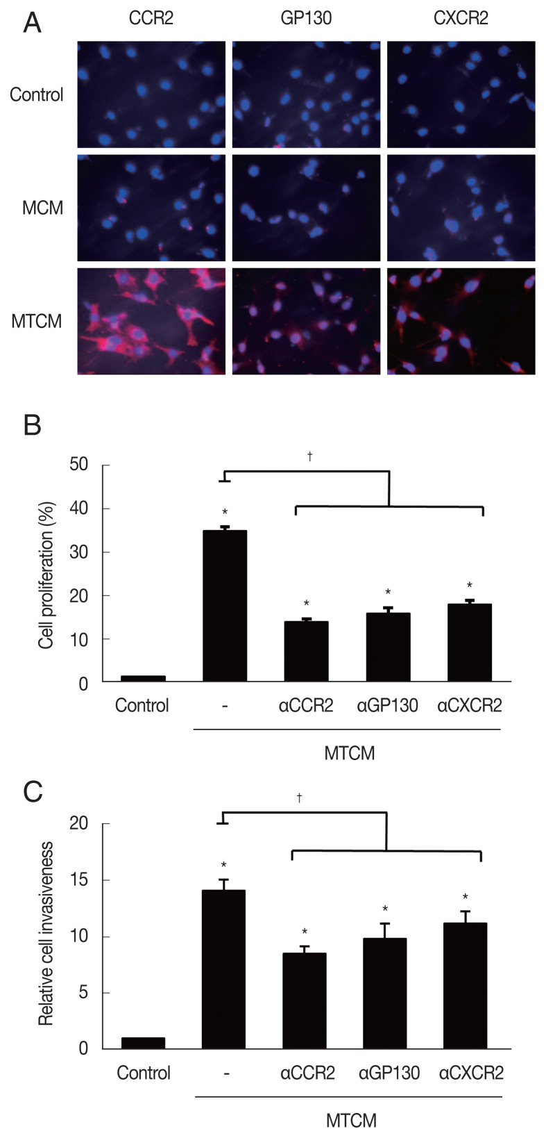 Involvement of Macrophages in Proliferation of Prostate Cancer Cells Infected with Trichomonas vaginalis.