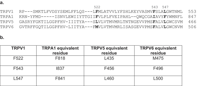 TRPV1 channels as a newly identified target for vitamin D.