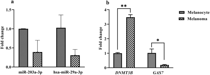 Predicting the possible effect of miR-203a-3p and miR-29a-3p on <i>DNMT3B</i> and <i>GAS7</i> genes expression.