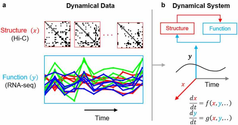 4DNvestigator: time series genomic data analysis toolbox.