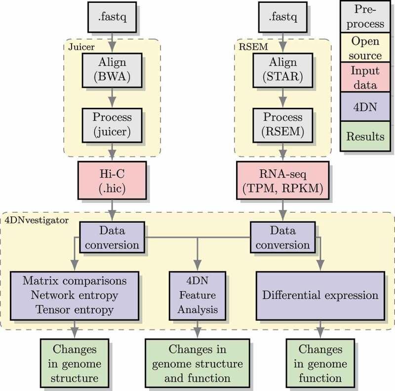 4DNvestigator: time series genomic data analysis toolbox.