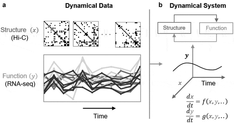 4DNvestigator: time series genomic data analysis toolbox.